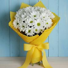 Букет Застенчивые лепестки #REPLACE_PRED# Александровке Подольского района Букет цветов из:  Хризантемы #REPLACE_PRED# Александровке Подольского района