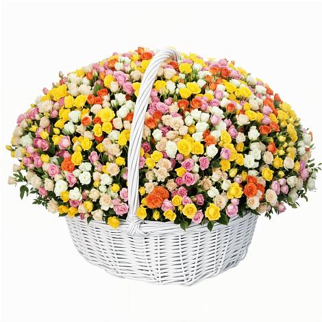 Премиум букет из: Розы в Александровке Подольского района