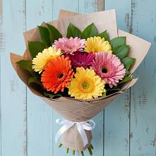Букет цветов из:  Герберы в Александровке Подольского района