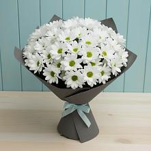 Букет белые хризантемы в Александровке Подольского района Букет цветов из:  Хризантемы в Александровке Подольского района