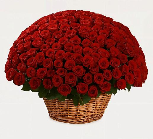 Премиум букет из: Розы в Александровке Подольского района