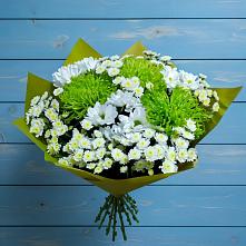 Букет скромность  в Александровке Подольского района Букет цветов из:  Хризантемы в Александровке Подольского района