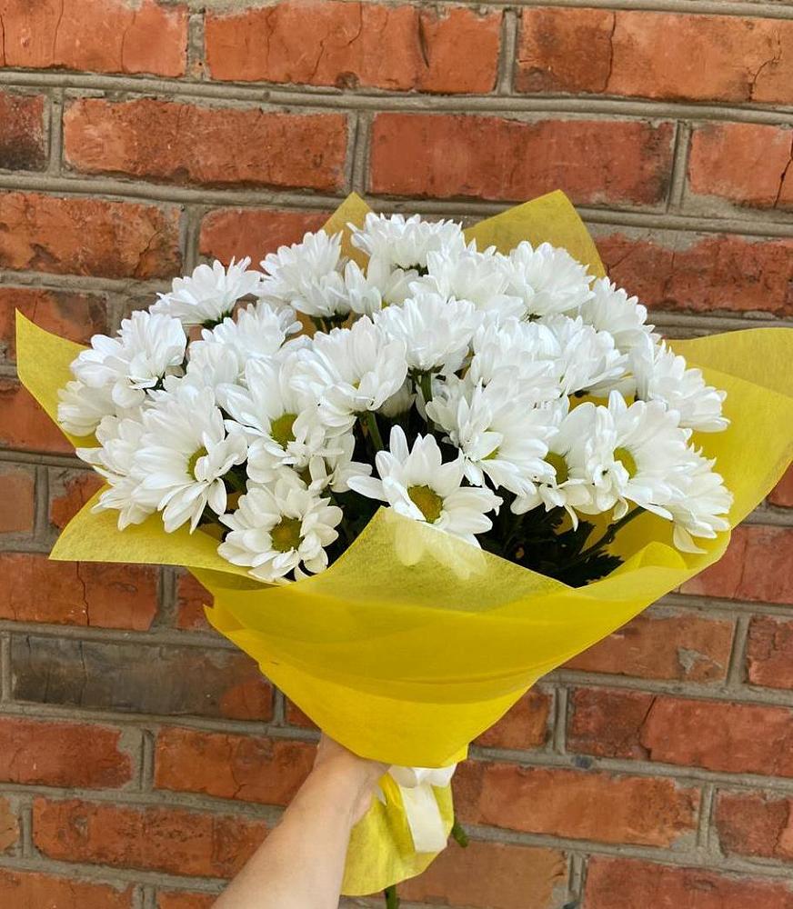 Букет Застенчивые лепестки в Александровке Подольского района Букет цветов из: Хризантемы в Александровке Подольского района