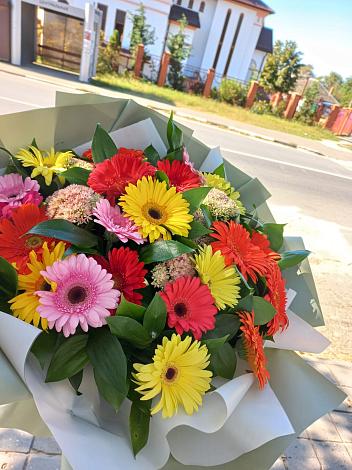 Букет цветов из: Герберы в Александровке Подольского района
